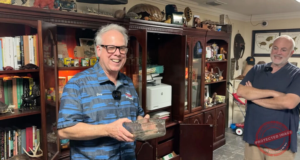 Vintage Turtle Artifacts with Jay Frewer