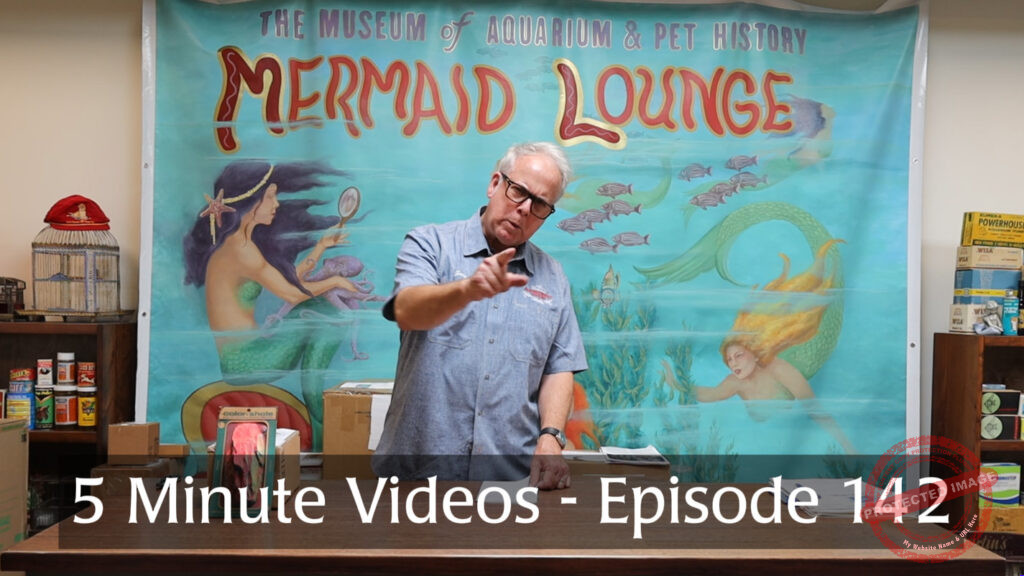 MOAPH 5 Minute Videos - Episode 142