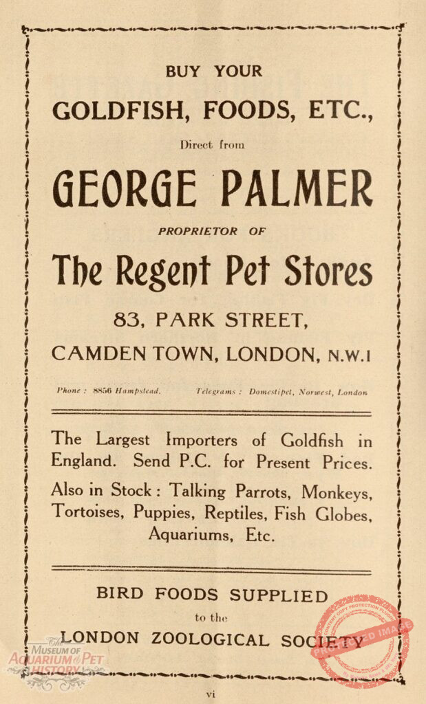 Palmer's Pet Shop